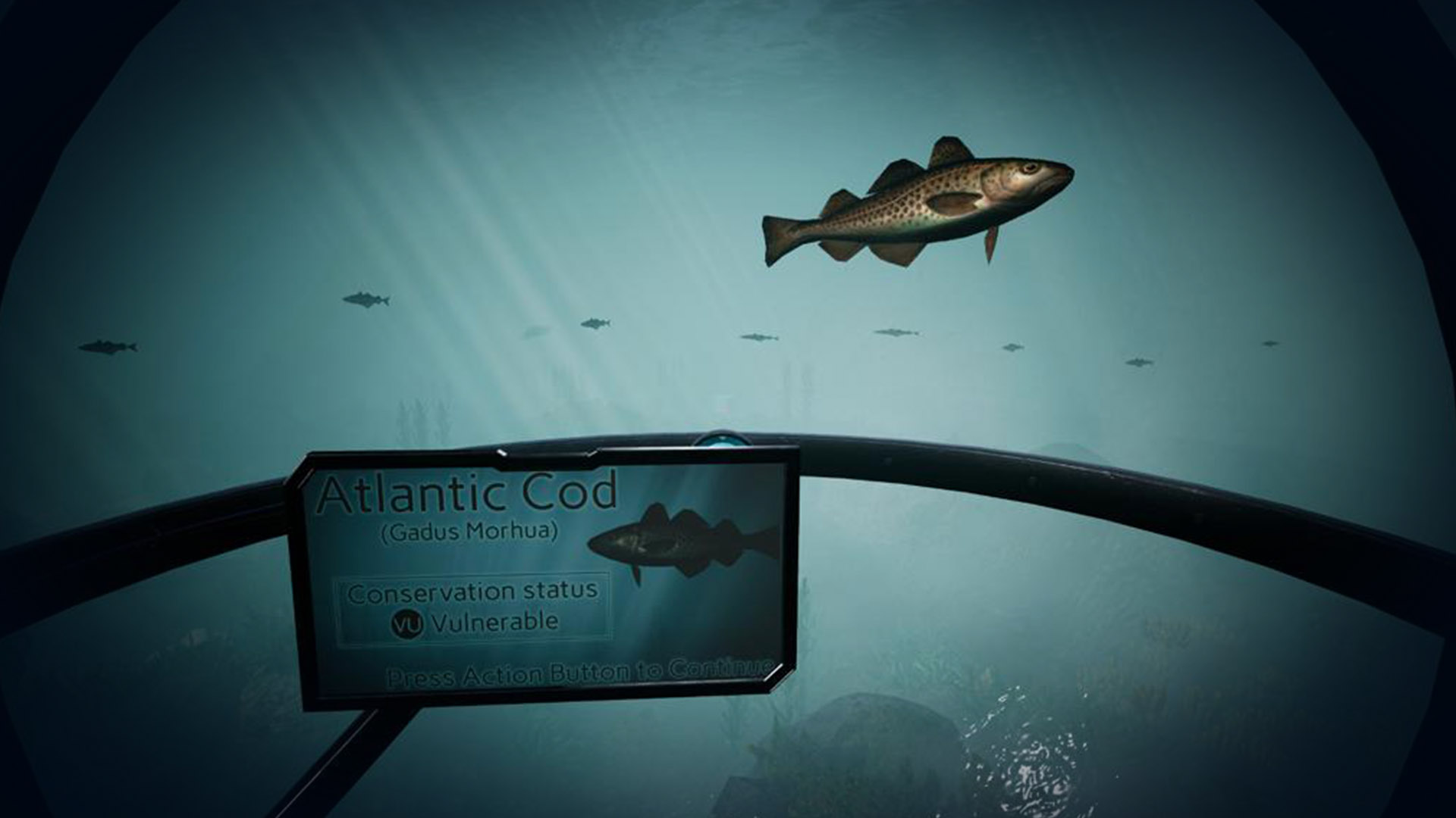 Navita Ocean Simulations
